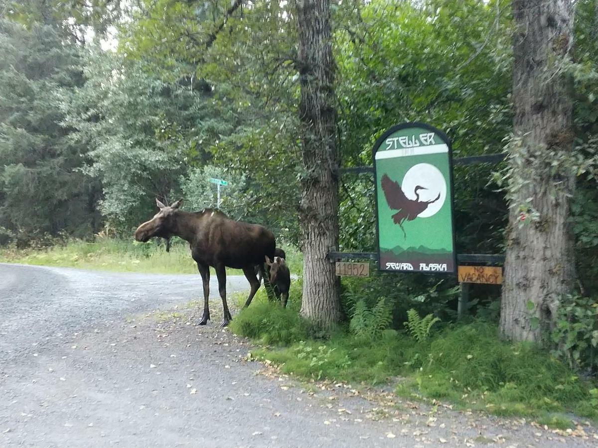 Steller Inn Seward Eksteriør billede